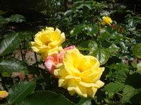 Un nouveau chez-soi ?