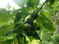 Un nouveau chez-soi ?