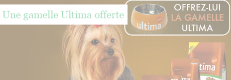 Recevez une gamelle Ultima pour votre chien (offre avec obligation d'achats)