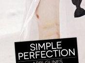 Simple Perfection Abbi Glines