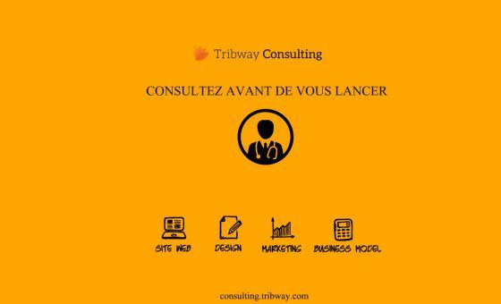 tribway consulting start up conseil marketing web appli business model