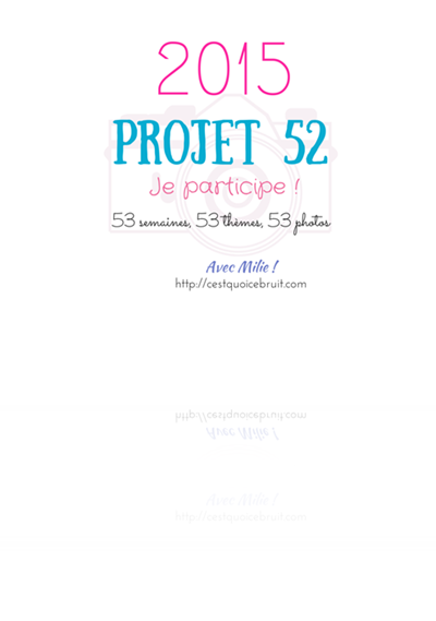 projet525