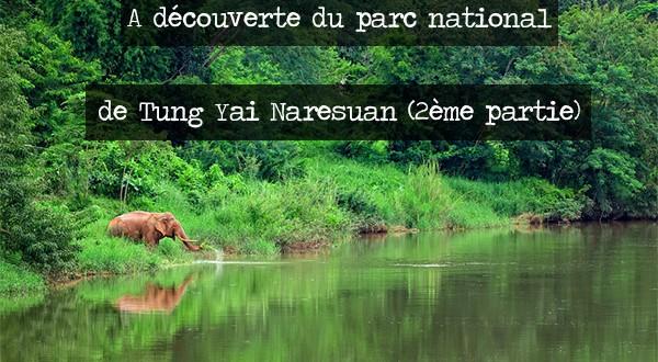 A découverte du parc national de Tung Yai Naresuan (2ème partie)