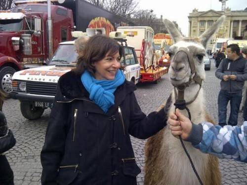 Informatique à la mairie : Hidalgo pête un câble !