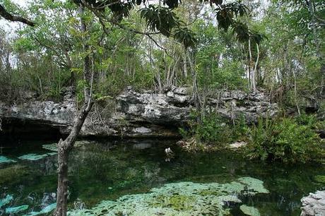 Le cenote K41