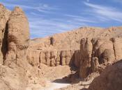 animaux pharaons xii. singes familiers sacrifice cultuel simiens