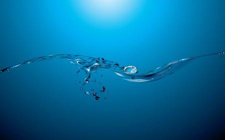 chat qui louche maykan alain gagnon francophonie