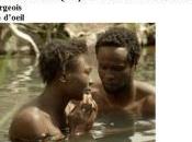 Actualité cinéma. Quelques nouvelles Pierre-Marc LEVERGEOIS. Janvier 2015