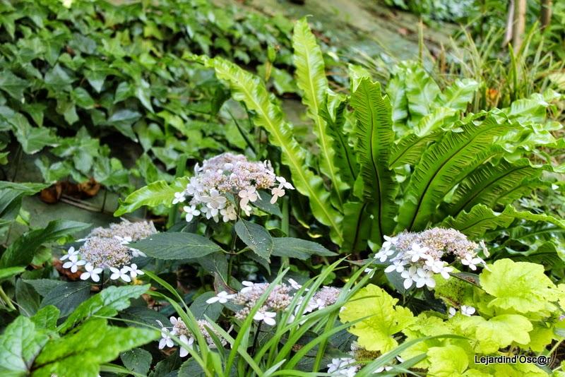 Rétro de Juillet...