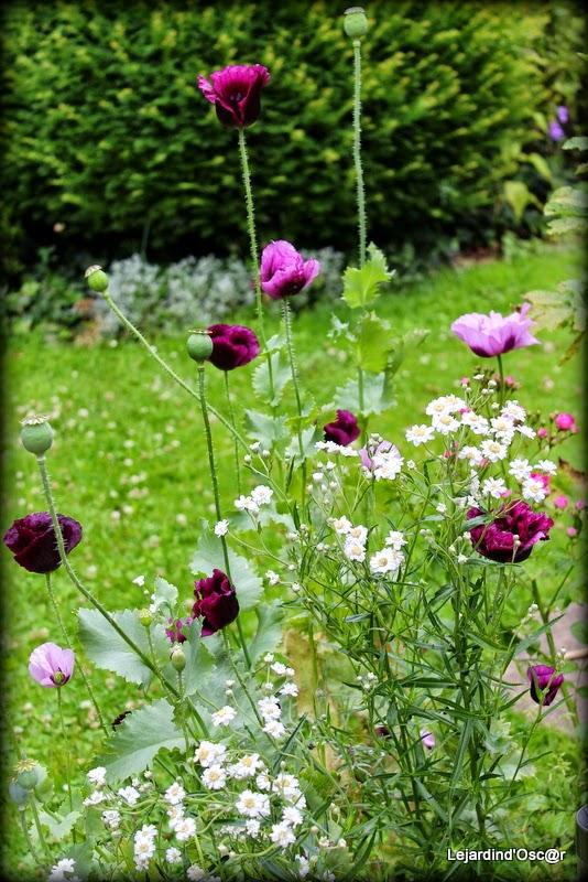 Rétro de Juillet...