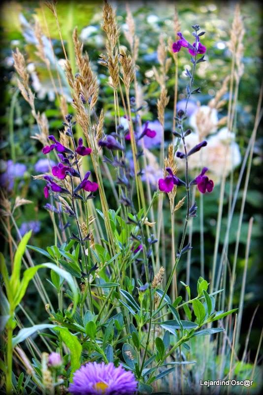 Rétro de Juillet...