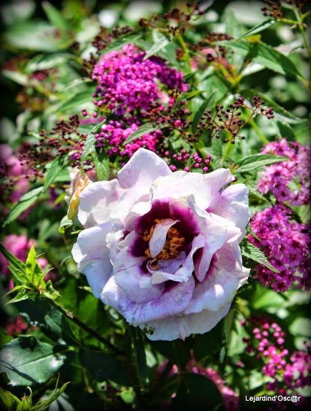 Rétro de Juillet...