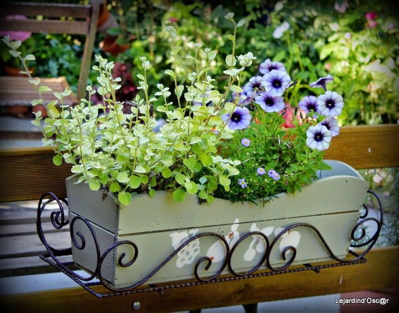 Rétro de Juillet...