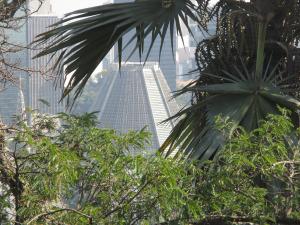 Vue sur la cathédrale