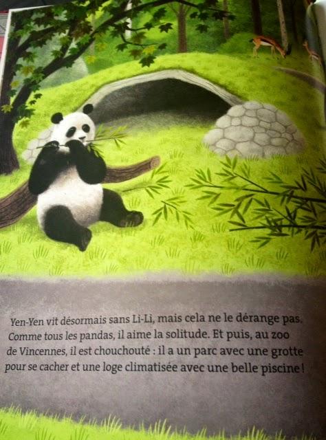 Yen-Yen : le panda géant (#lapetitepausedudimanche)