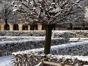 Miscellanées Janvier