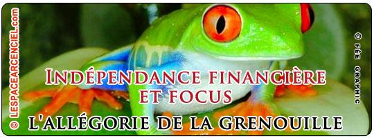 grenouille-focus