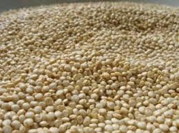 le quinoa ,programme prise de masse