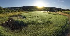 L'agriculture biologique sans pesticides, rentable et productive, peut nourrir l'humanité agricutlure biologique,études,inra,rentabilité,productivité,nourriture,faim dans le monde,gaspillage,conventionnelle