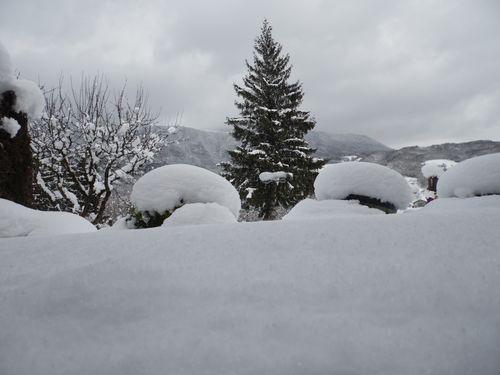 photos prises samedi matin le 01.02.2015 vers 10 heures