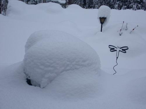 photos prises samedi matin le 01.02.2015 vers 10 heures