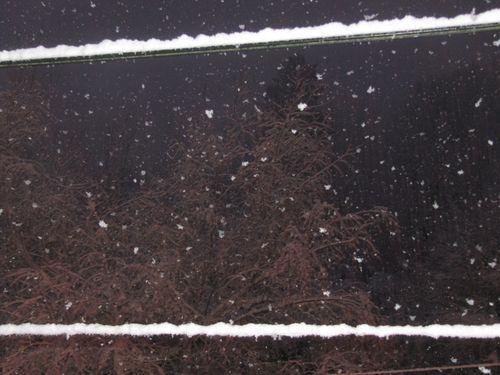 photos prises le 31.01.2015 vers 18 h.....