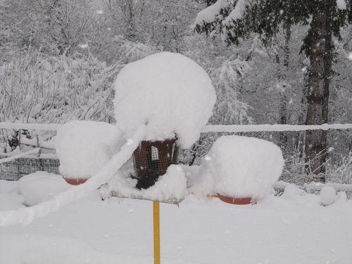 photos prises samedi matin le 01.02.2015 vers 10 heures