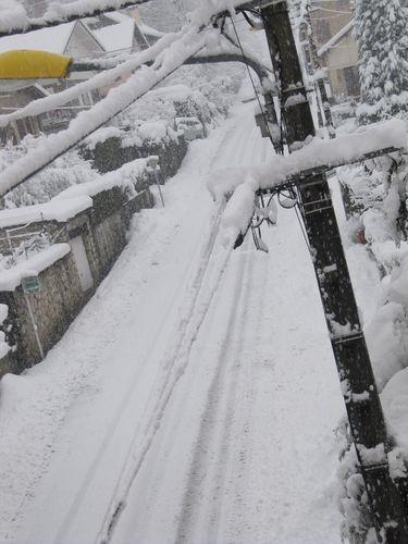 photos prises samedi matin le 01.02.2015 vers 10 heures