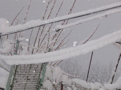 photos prises samedi matin le 01.02.2015 vers 10 heures