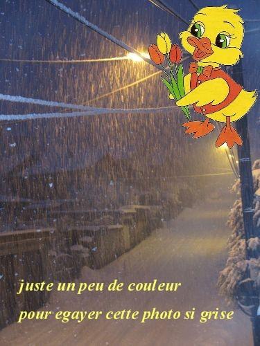 photos prises le 31.01.2015 vers 18 h.....