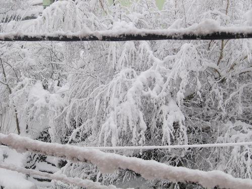 photos prises samedi matin le 01.02.2015 vers 10 heures