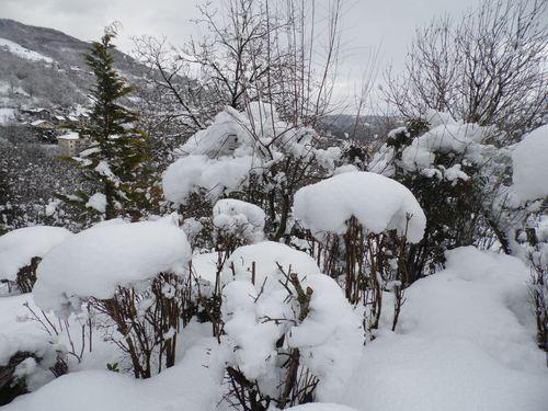 photos prises samedi matin le 01.02.2015 vers 10 heures