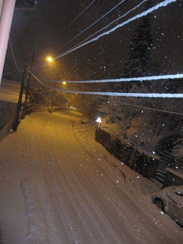 photos prises le 31.01.2015 vers 18 h.....