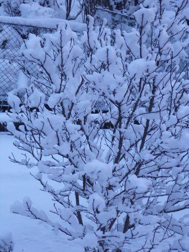 photos prises samedi matin le 01.02.2015 vers 10 heures