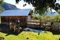 La Patagonie, voyage à l’autre bout du monde (2ème partie)