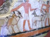 animaux pharaons oryx présence dans l'iconologie l'offrande alimentaire