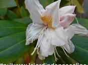 Meilleure page janvier