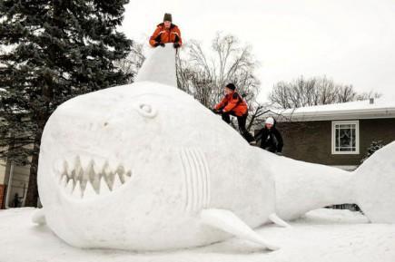 idée activité hiver faire un bonhomme de neige requin des neiges