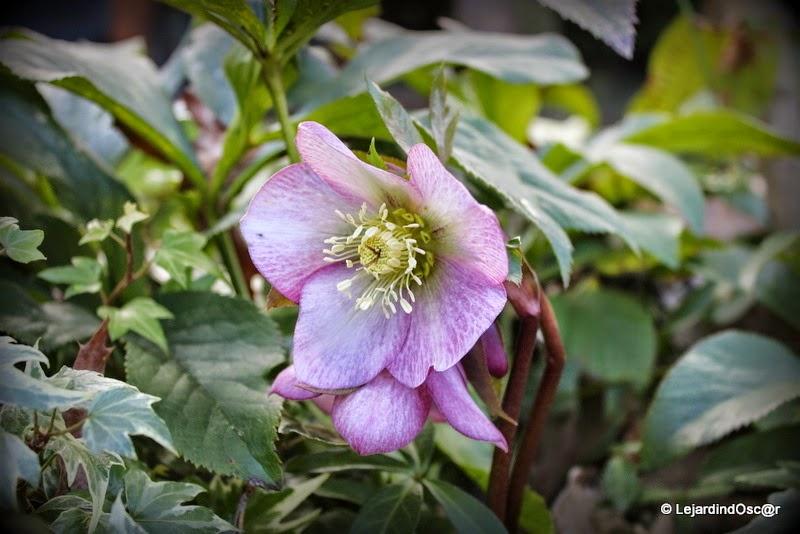 Un peu de couleurs...