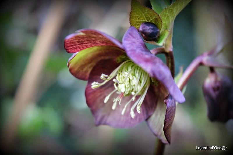 Un peu de couleurs...