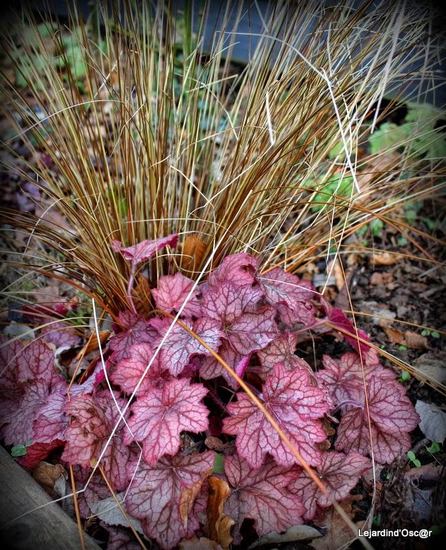 Un peu de couleurs...