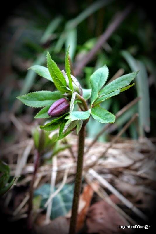 Un peu de couleurs...