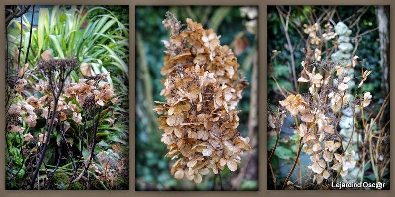 Un peu de couleurs...