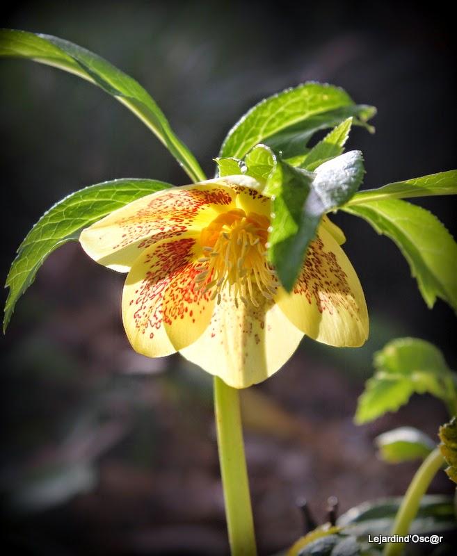 Un peu de couleurs...