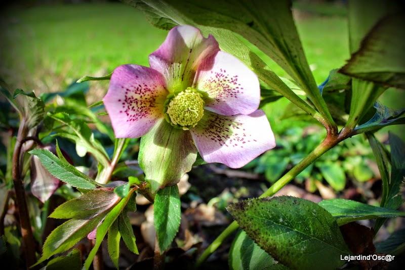 Un peu de couleurs...