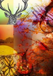 Watt Bottom #3 –  30.01.15