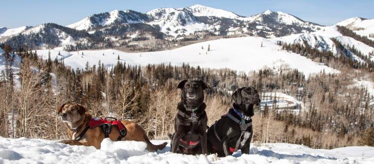 On ne finit jamais d'apprendre !