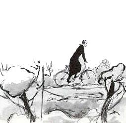 Un_ver_dans_le_fruit1