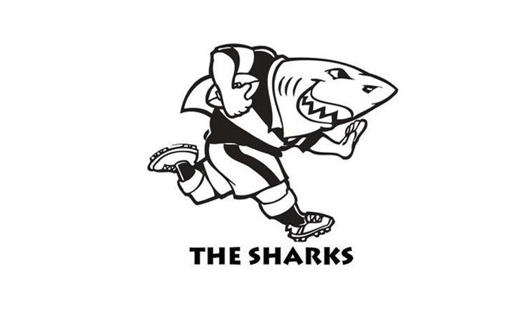 logo the sharks rugby