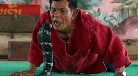Baan Khok Sa Nga le village des cobras royaux Baan Khok Sa Nga le village des cobras royaux